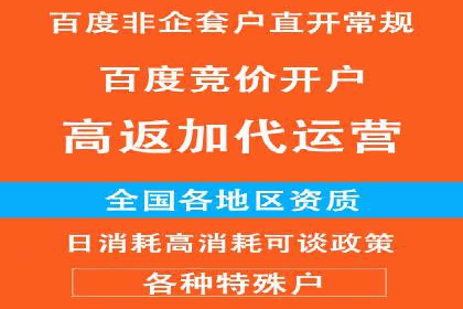 百度竞价广告投放技巧及某行业成功案例